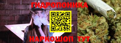 a pvp Мариинск